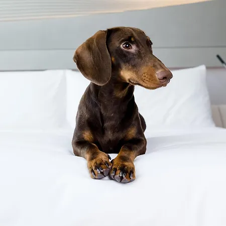 INNSiDE by Meliá Zaragoza Hotel 4*