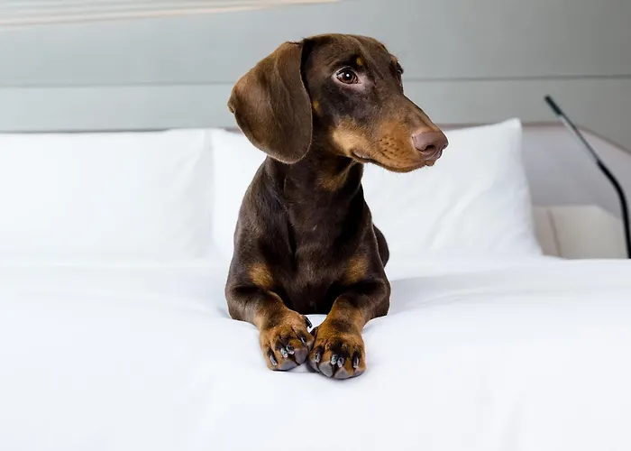 Innside Hotel Saragossa